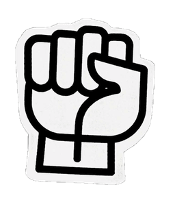 Fist